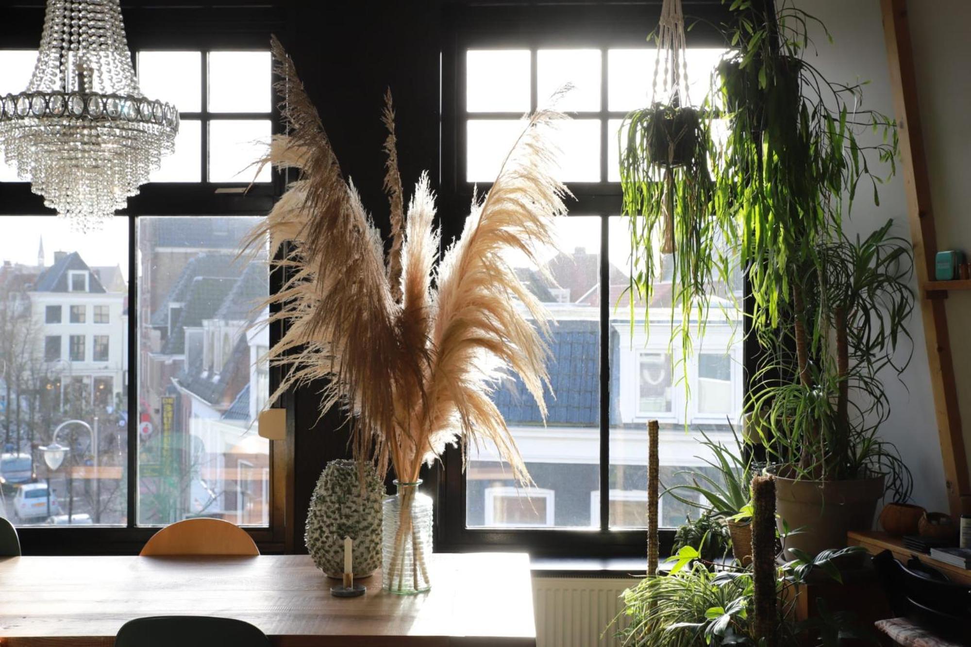 Stadslogement Valentijn Sneek Extérieur photo
